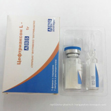 Ceftriaxone Sodium Injection + Lidocaine Injection